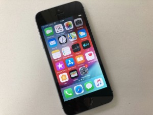 Мобильный телефон iPhone 5s