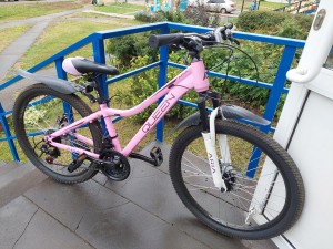 Велосипед Аria Queen 26